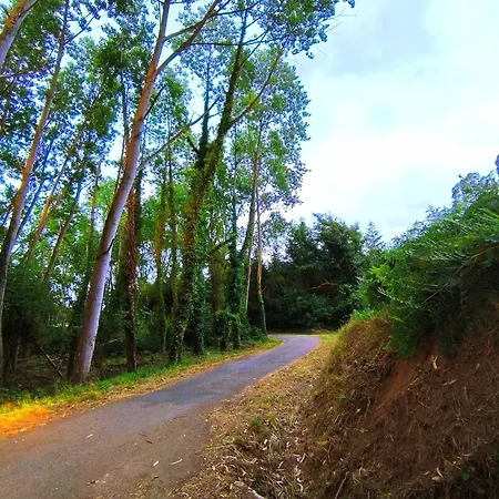 El Valle Appartamento *