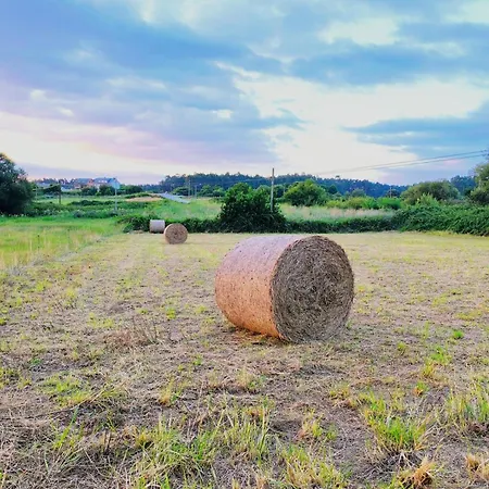 Appartamento El Valle *